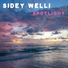 Sidey Welli