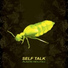 Self Talk