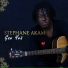 Stephane Akam