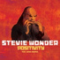 Stevie Wonder
