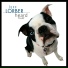 Jeff Lorber