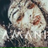 Amani