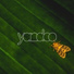 yandoo