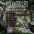 Prana feat. Merv
