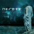 Decree