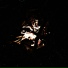 Open Fire