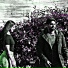 DEADROSE