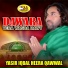 Yasir iqbal Heera Qawwal