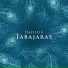 Los Indios Tabajaras