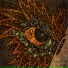 Canyon Kids