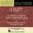 Franz Liszt (piano Alexandre Dossin)