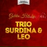 Trio Surdina & Leo Peracchi