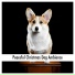 Relaxing Dog Music