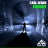 Carl Aerox