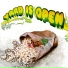 OLO Worms