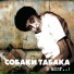 Собаки Табака