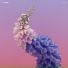 Flume feat. Little Dragon