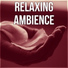 Total Relax Music Ambient