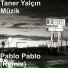 Taner Yalçın Müzik