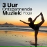 Ontspanningsensemble