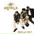 DC Talk