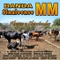 Banda Sinaloense MM