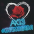 Ax 13