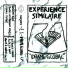 Expérience Similaire