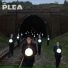 The Plea