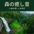 森林の精霊