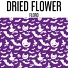 Dried Flower