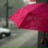 Rain Forest FX, Spa Relaxation, The Rain Library