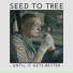 Seed To Tree