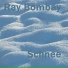Ray Bombay