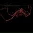 Technical Shot