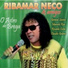Ribamar Neco