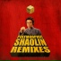 Polymorphic - Shaolin (ZOI Remix)
