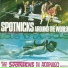 The Spotnicks