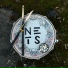 the NETS