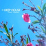 Dr. Deep House feat. Joel Pinto