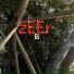 zEEr