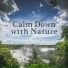 Rest & Relax Nature Sounds Artists