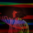 Rozi Plain