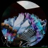 Funkwise