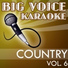 Big Voice Karaoke