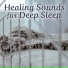 Relax Meditate Sleep