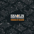Shaolin Temple Defenders