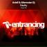 Aviell & Alternoize Dj