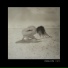 Penelope Trappes