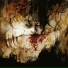 Shining